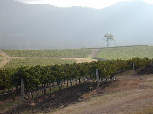  Hunter Valley