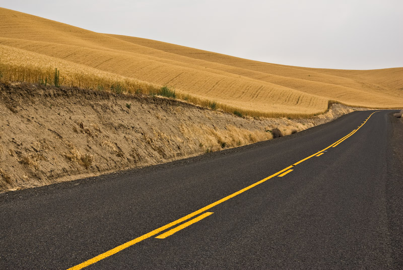 Wheat Fields