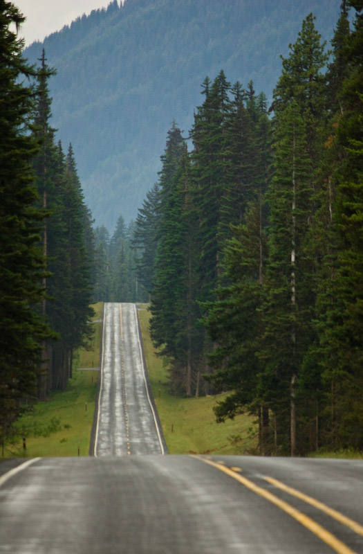 Washington Forests