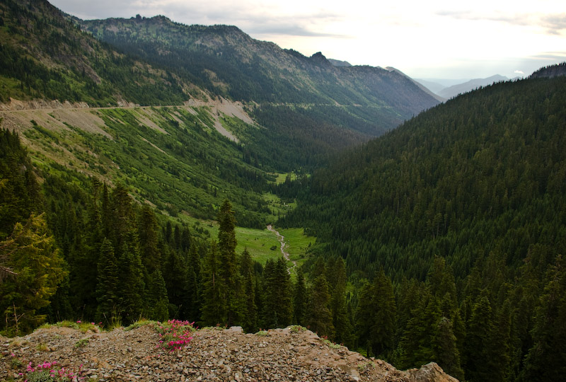 Chinook Pass