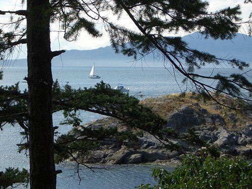 Sailboat on Malaspina